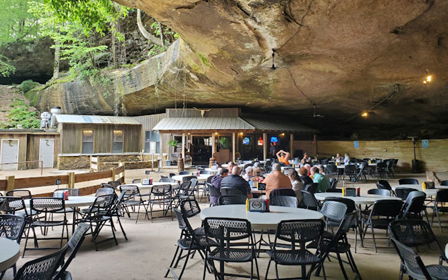 Rattlesnake Saloon Alabama 4 Best Things To Know! Travellfy