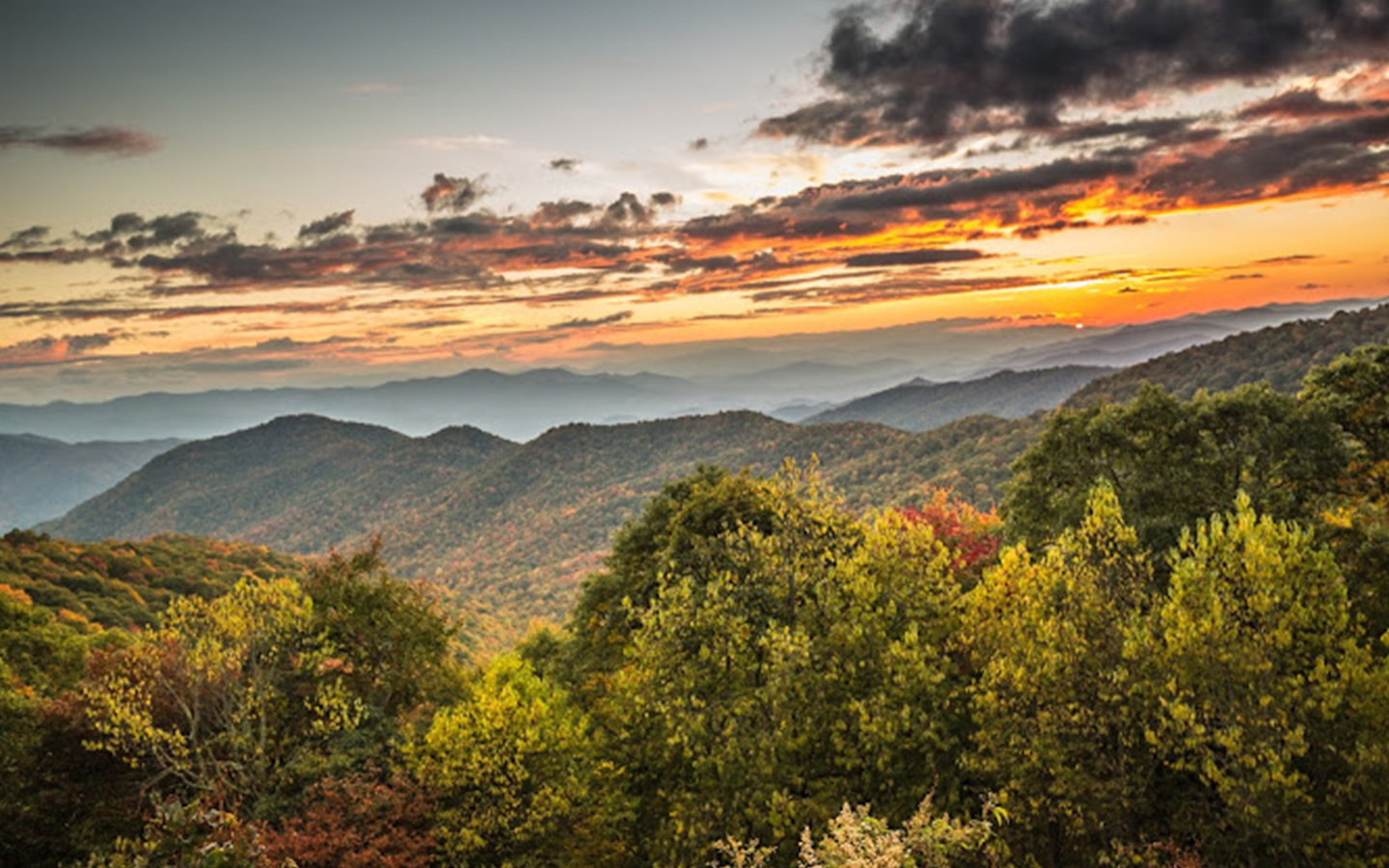 Great Smoky Mountains National Park – 8 Best Things To Know! - Travellfy