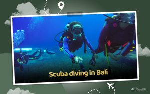 Read more about the article 5 Things To Know About Scuba Diving In Bali – Travellfy