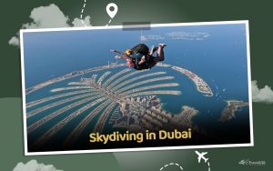 Read more about the article Skydive in Dubai UAE – 5 Top Things To Know | Tripsonwheels