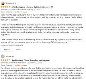 Turtle Pillow Plus Reviews