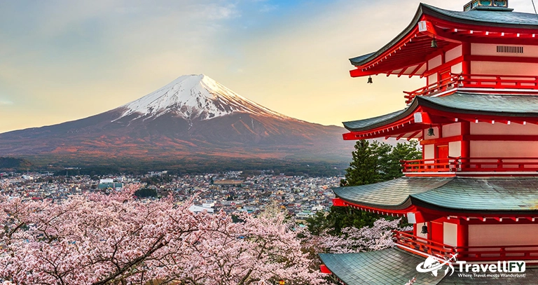Adventure Travel destination for Women 2024 | Japan | Travellfy